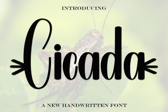 Cicada Font: Elevating Digital Brand Identity