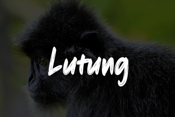 Lutung Font: Elevate Your Small Business Branding