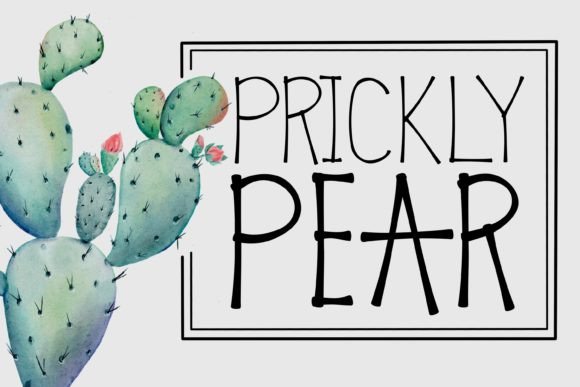 Prickly Pear Font: Adding Whimsy to Editorial Design