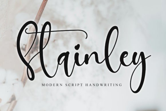 Stainley Font: Elevating Small Business Branding