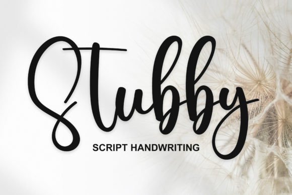 Stubby Font Review: Elevating Small Business Branding